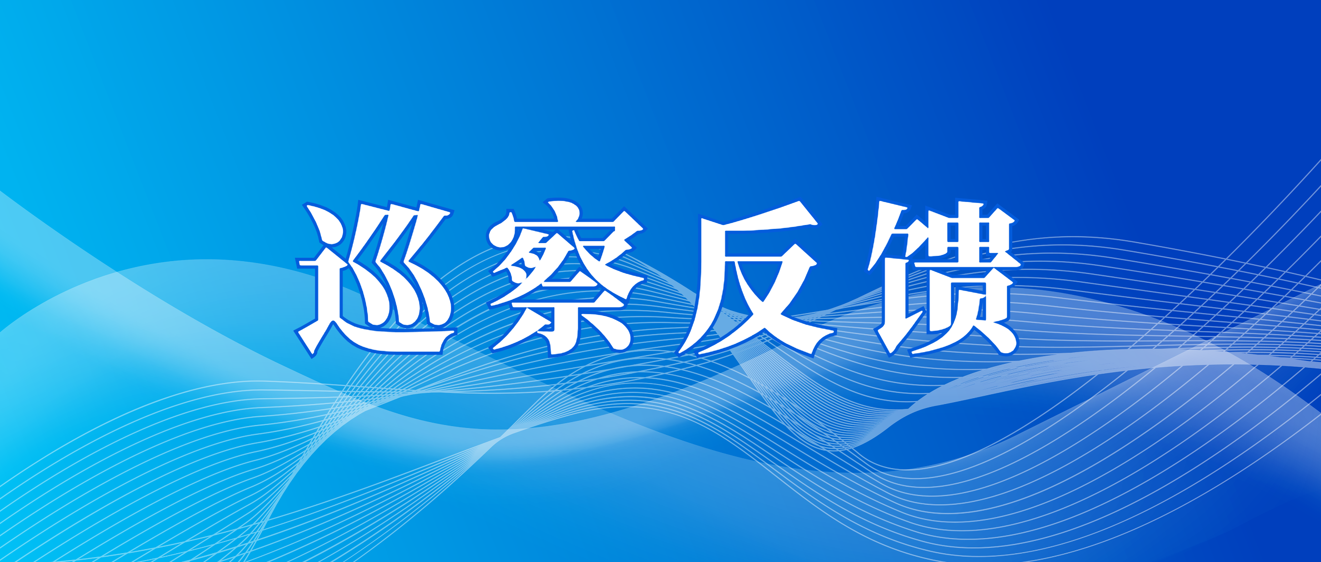 市国资委党委第三巡察组向AG贵宾厅资本党总支反馈巡察情况